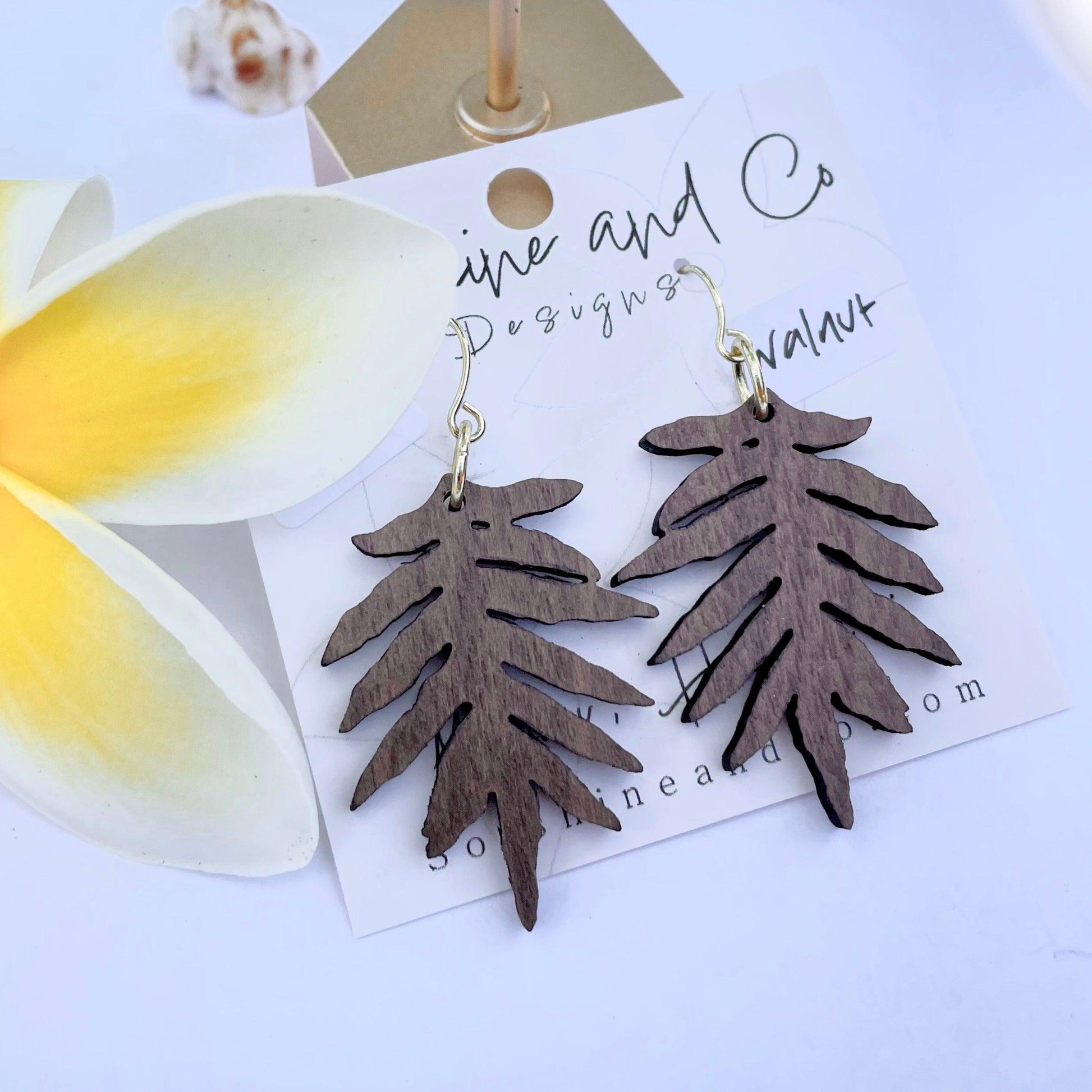 Laua’e Fern - Solshine and Co