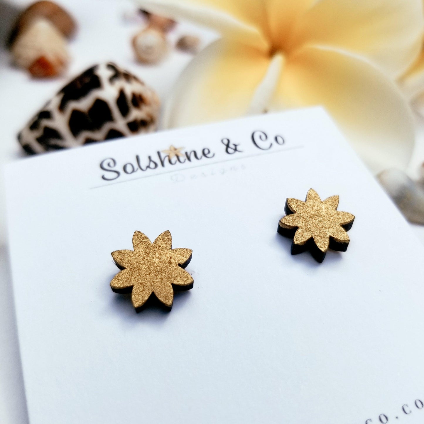 Sunbursts - Solshine and Co