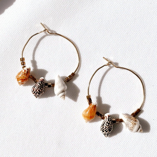 Gold Shell Hoops - Solshine and Co