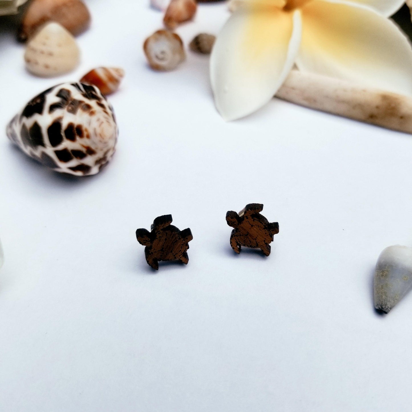 Turtle Studs - Solshine and Co